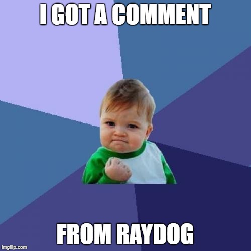 Success Kid Meme | I GOT A COMMENT FROM RAYDOG | image tagged in memes,success kid | made w/ Imgflip meme maker