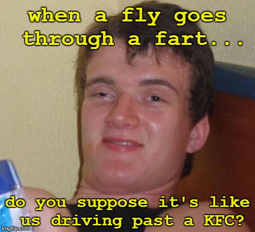 Inquiring minds (and mine, too!) | when a fly goes through a fart... do you suppose it's like us driving past a KFC? | image tagged in memes,10 guy | made w/ Imgflip meme maker