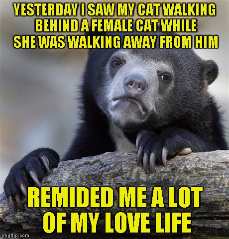 Like pet like owner,I guess | YESTERDAY I SAW MY CAT WALKING BEHIND A FEMALE CAT WHILE SHE WAS WALKING AWAY FROM HIM; REMIDED ME A LOT OF MY LOVE LIFE | image tagged in memes,confession bear,cats,powermetalhead,love,life | made w/ Imgflip meme maker
