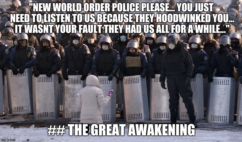 "NEW WORLD ORDER POLICE PLEASE... YOU JUST NEED TO LISTEN TO US BECAUSE THEY HOODWINKED YOU... IT WASNT YOUR FAULT THEY HAD US ALL FOR A WHILE..."; ## THE GREAT AWAKENING | image tagged in new world order police please you just need to listen to us beca | made w/ Imgflip meme maker