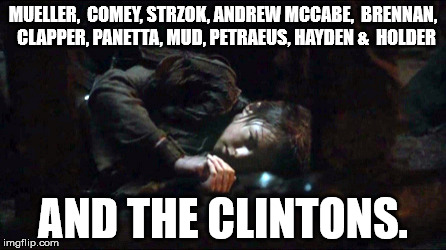 MUELLER,  COMEY, STRZOK, ANDREW MCCABE,  BRENNAN,  CLAPPER, PANETTA, MUD, PETRAEUS, HAYDEN &  HOLDER; AND THE CLINTONS. | image tagged in swamp rat | made w/ Imgflip meme maker
