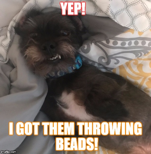 throwing beads; cute dogpup mardi gra | YEP! I GOT THEM THROWING BEADS! | image tagged in cute puppy | made w/ Imgflip meme maker