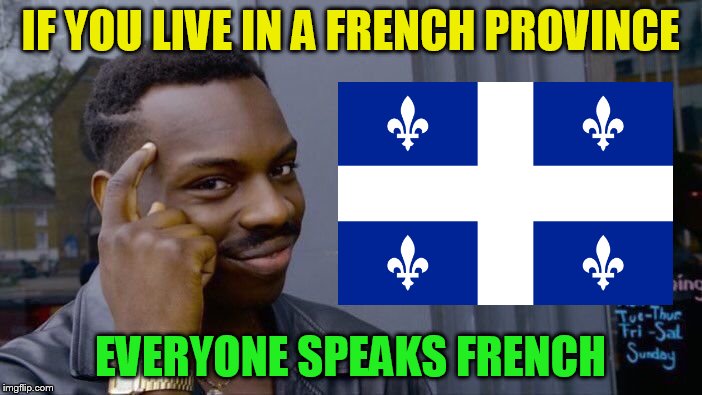 Roll Safe Think About It Meme | IF YOU LIVE IN A FRENCH PROVINCE EVERYONE SPEAKS FRENCH | image tagged in memes,roll safe think about it | made w/ Imgflip meme maker