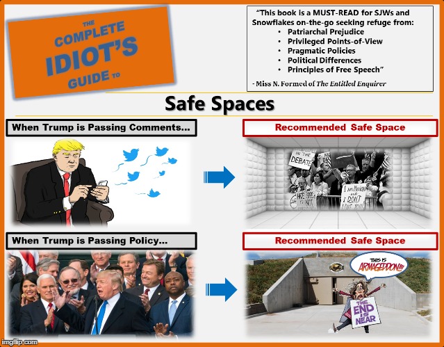 The Complete Idiot's Guide to Safe Spaces | image tagged in trump,maga,liberal vs conservative,conservatives,snowflakes,sjws | made w/ Imgflip meme maker