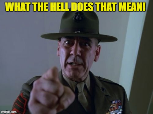 sarge  | WHAT THE HELL DOES THAT MEAN! | image tagged in sarge | made w/ Imgflip meme maker