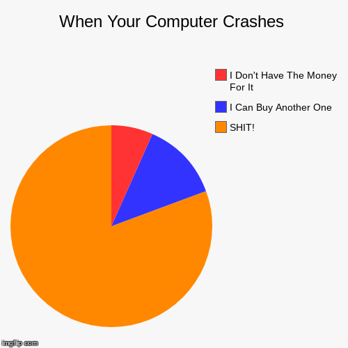 When Your Computer Crashes | SHIT! , I Can Buy Another One, I Don't Have The Money For It | image tagged in funny,pie charts | made w/ Imgflip chart maker