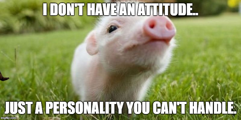 I DON'T HAVE AN ATTITUDE.. JUST A PERSONALITY YOU CAN'T HANDLE. | made w/ Imgflip meme maker