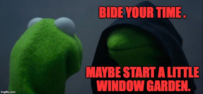 BIDE YOUR TIME . MAYBE START A LITTLE WINDOW GARDEN. | made w/ Imgflip meme maker