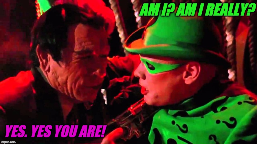 Two face, And Riddler | AM I? AM I REALLY? YES. YES YOU ARE! | image tagged in two face and riddler | made w/ Imgflip meme maker