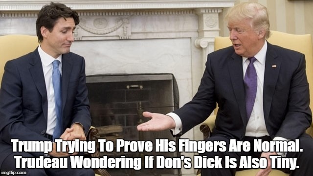 Trump Trying To Prove His Fingers Are Normal. Trudeau Wondering If Don's Dick Is Also Tiny. | made w/ Imgflip meme maker