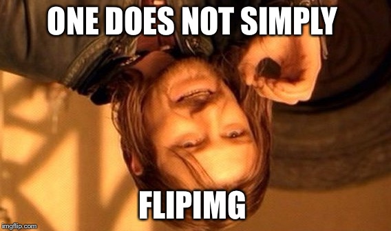 One Does Not Simply Meme | ONE DOES NOT SIMPLY; FLIPIMG | image tagged in memes,one does not simply | made w/ Imgflip meme maker