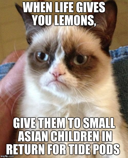 Grumpy Cat Meme | WHEN LIFE GIVES YOU LEMONS, GIVE THEM TO SMALL ASIAN CHILDREN IN RETURN FOR TIDE PODS | image tagged in memes,grumpy cat | made w/ Imgflip meme maker
