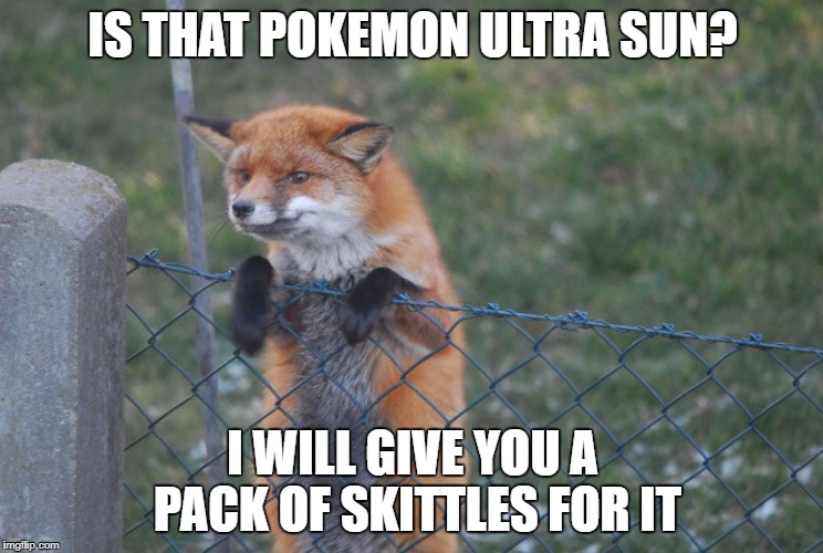 fox | IS THAT POKEMON ULTRA SUN? I WILL GIVE YOU A PACK OF SKITTLES FOR IT | image tagged in fox | made w/ Imgflip meme maker