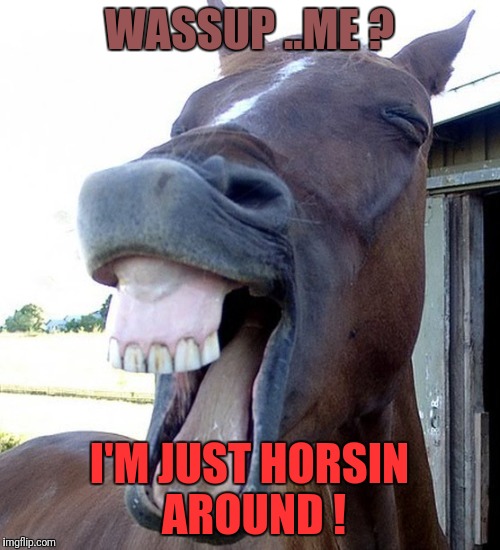 Funny Horse Face | WASSUP ..ME ? I'M JUST HORSIN AROUND ! | image tagged in funny horse face | made w/ Imgflip meme maker