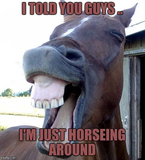 Funny Horse Face | I TOLD YOU GUYS .. I'M JUST HORSEING AROUND | image tagged in funny horse face | made w/ Imgflip meme maker