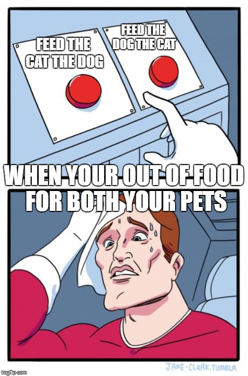 Two Buttons Meme | FEED THE DOG THE CAT; FEED THE CAT THE DOG; WHEN YOUR OUT OF FOOD FOR BOTH YOUR PETS | image tagged in memes,two buttons | made w/ Imgflip meme maker