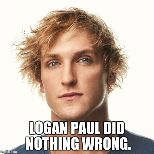 logan paul Aug 2017 | LOGAN PAUL DID NOTHING WRONG. | image tagged in logan paul aug 2017 | made w/ Imgflip meme maker