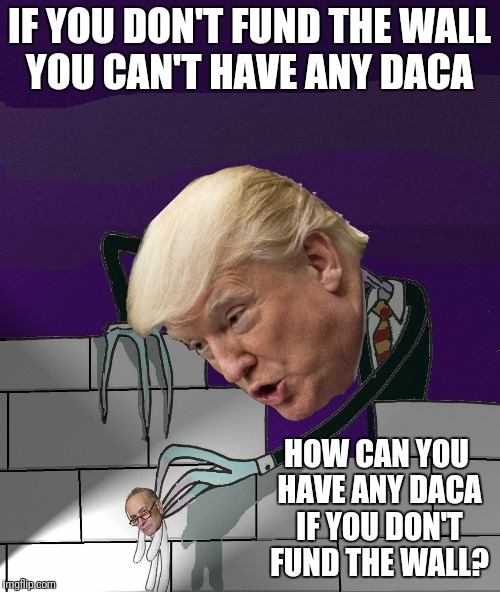Insert "We don't need no immigration" joke here | IF YOU DON'T FUND THE WALL YOU CAN'T HAVE ANY DACA; HOW CAN YOU HAVE ANY DACA IF YOU DON'T FUND THE WALL? | image tagged in donald trump,chuck schumer,the wall,daca | made w/ Imgflip meme maker