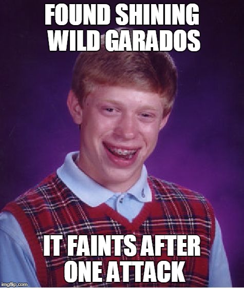 Bad Luck Brian | FOUND SHINING WILD GARADOS; IT FAINTS AFTER ONE ATTACK | image tagged in memes,bad luck brian | made w/ Imgflip meme maker