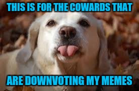 It's not like this is the first time this has ever happened to me...but I'm honored that you're butthurt over little ole me!!!  |  THIS IS FOR THE COWARDS THAT; ARE DOWNVOTING MY MEMES | image tagged in dog sticking tongue out,memes,dogs,funny,animals,trolls | made w/ Imgflip meme maker
