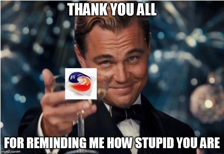 THANK YOU ALL; FOR REMINDING ME HOW STUPID YOU ARE | image tagged in cheer-pod | made w/ Imgflip meme maker
