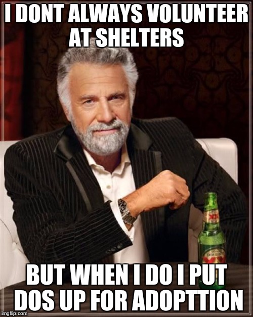 The Most Interesting Man In The World Meme | I DONT ALWAYS VOLUNTEER AT SHELTERS; BUT WHEN I DO I PUT DOS UP FOR ADOPTTION | image tagged in memes,the most interesting man in the world | made w/ Imgflip meme maker