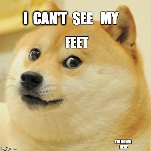 Doge | I  CAN'T; MY; SEE; FEET; I'M DOWN HERE | image tagged in memes,doge | made w/ Imgflip meme maker