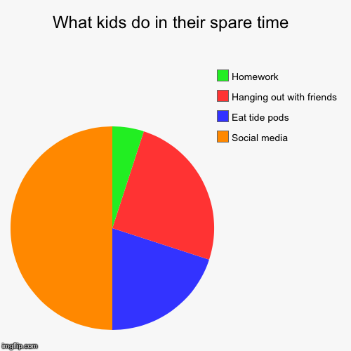 What kids do in their spare time  | Social media , Eat tide pods, Hanging out with friends , Homework | image tagged in funny,pie charts | made w/ Imgflip chart maker