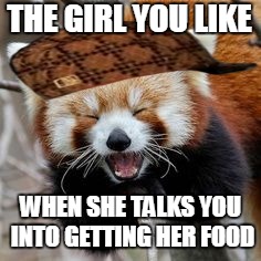 Rofl Red Panda | THE GIRL YOU LIKE; WHEN SHE TALKS YOU INTO GETTING HER FOOD | image tagged in rofl red panda,scumbag | made w/ Imgflip meme maker