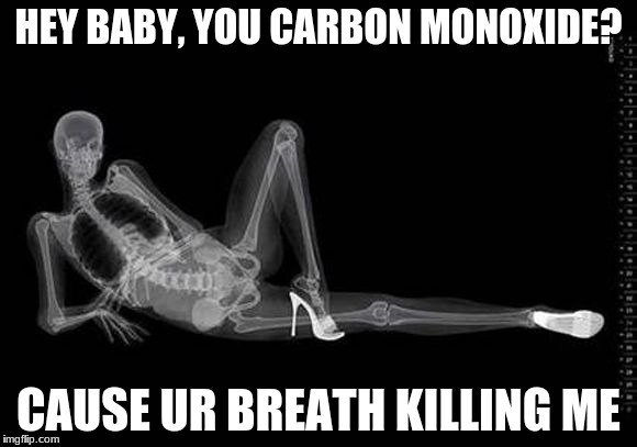 XRAY PORN | HEY BABY, YOU CARBON MONOXIDE? CAUSE UR BREATH KILLING ME | image tagged in xray porn | made w/ Imgflip meme maker