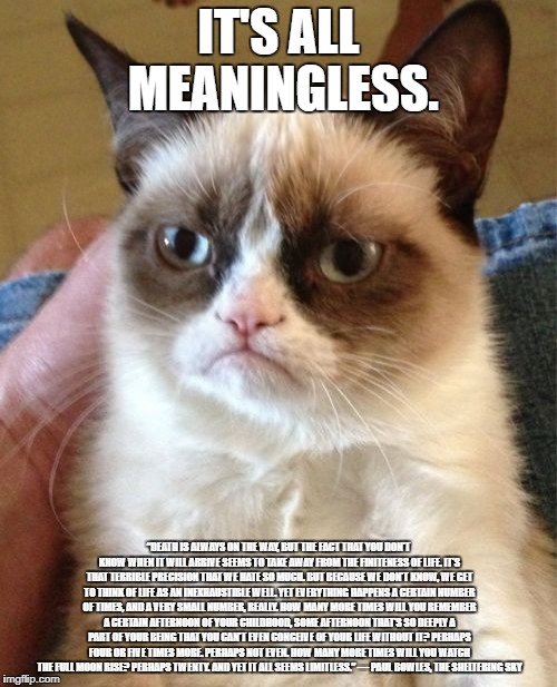Grumpy Cat Meme | IT'S ALL MEANINGLESS. “DEATH IS ALWAYS ON THE WAY, BUT THE FACT THAT YOU DON'T KNOW WHEN IT WILL ARRIVE SEEMS TO TAKE AWAY FROM THE FINITENESS OF LIFE. IT'S THAT TERRIBLE PRECISION THAT WE HATE SO MUCH. BUT BECAUSE WE DON'T KNOW, WE GET TO THINK OF LIFE AS AN INEXHAUSTIBLE WELL. YET EVERYTHING HAPPENS A CERTAIN NUMBER OF TIMES, AND A VERY SMALL NUMBER, REALLY. HOW MANY MORE TIMES WILL YOU REMEMBER A CERTAIN AFTERNOON OF YOUR CHILDHOOD, SOME AFTERNOON THAT'S SO DEEPLY A PART OF YOUR BEING THAT YOU CAN'T EVEN CONCEIVE OF YOUR LIFE WITHOUT IT? PERHAPS FOUR OR FIVE TIMES MORE. PERHAPS NOT EVEN. HOW MANY MORE TIMES WILL YOU WATCH THE FULL MOON RISE? PERHAPS TWENTY. AND YET IT ALL SEEMS LIMITLESS.”
― PAUL BOWLES, THE SHELTERING SKY | image tagged in memes,grumpy cat | made w/ Imgflip meme maker