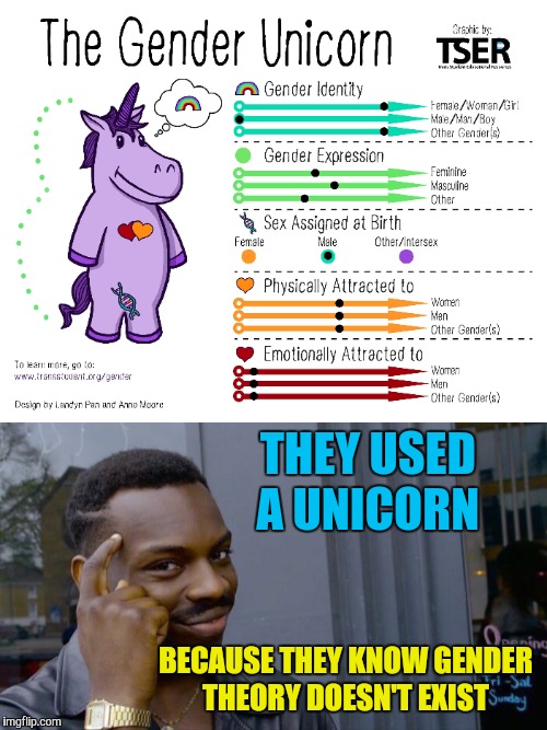 THEY USED A UNICORN; BECAUSE THEY KNOW GENDER THEORY DOESN'T EXIST | image tagged in memes,funny,liberal logic,california,gender identity | made w/ Imgflip meme maker