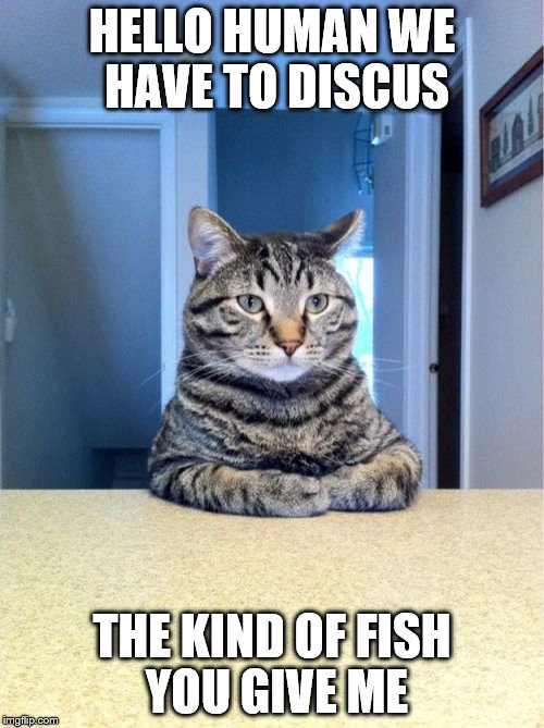 Take A Seat Cat Meme | HELLO HUMAN WE HAVE TO DISCUS; THE KIND OF FISH YOU GIVE ME | image tagged in memes,take a seat cat | made w/ Imgflip meme maker