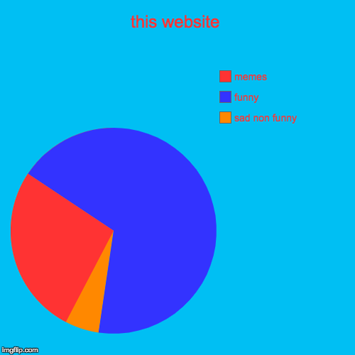 this website | sad non funny, funny, memes | image tagged in funny,pie charts | made w/ Imgflip chart maker