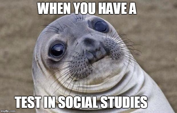 Awkward Moment Sealion Meme | WHEN YOU HAVE A; TEST IN SOCIAL STUDIES | image tagged in memes,awkward moment sealion | made w/ Imgflip meme maker