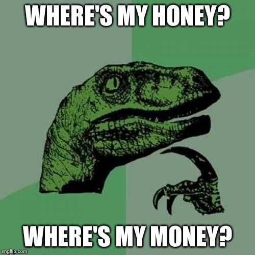 Philosoraptor Meme | WHERE'S MY HONEY? WHERE'S MY MONEY? | image tagged in memes,philosoraptor | made w/ Imgflip meme maker
