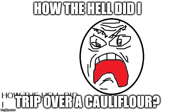 How the Hell did I | HOW THE HELL DID I; TRIP OVER A CAULIFLOUR? | image tagged in random,memes | made w/ Imgflip meme maker