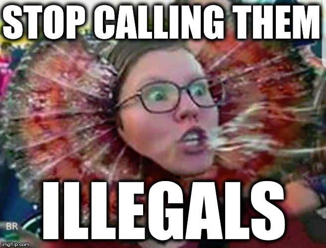 STOP CALLING THEM; ILLEGALS | image tagged in sjw,social justice warrior,triggered liberal,illegal immigration,donald trump wall,daca | made w/ Imgflip meme maker