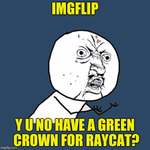 Y U No Meme | IMGFLIP Y U NO HAVE A GREEN CROWN FOR RAYCAT? | image tagged in memes,y u no | made w/ Imgflip meme maker