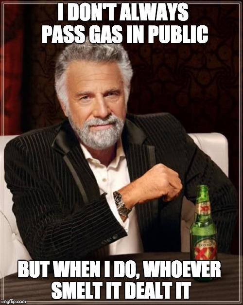 The Most Interesting Man In The World Meme | I DON'T ALWAYS PASS GAS IN PUBLIC; BUT WHEN I DO, WHOEVER SMELT IT DEALT IT | image tagged in memes,the most interesting man in the world | made w/ Imgflip meme maker