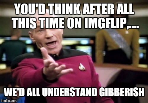 Picard Wtf Meme | YOU'D THINK AFTER ALL THIS TIME ON IMGFLIP,.... WE'D ALL UNDERSTAND GIBBERISH | image tagged in memes,picard wtf | made w/ Imgflip meme maker