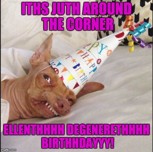 tuna the dog birthday meme