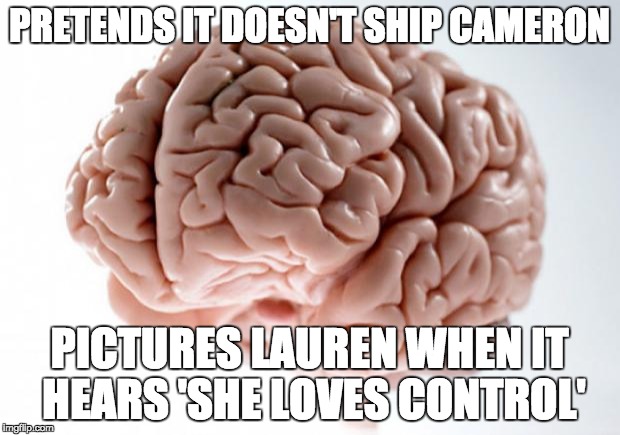 Scumbag Brain | PRETENDS IT DOESN'T SHIP CAMERON; PICTURES LAUREN WHEN IT HEARS 'SHE LOVES CONTROL' | image tagged in scumbag brain | made w/ Imgflip meme maker