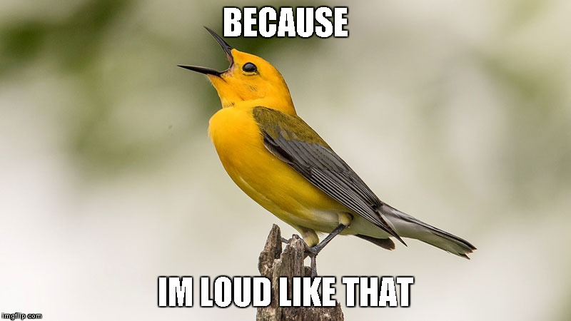 BECAUSE; IM LOUD LIKE THAT | made w/ Imgflip meme maker