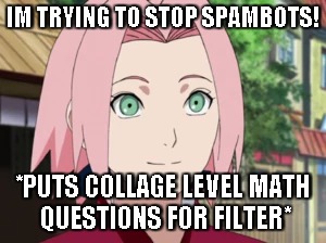 IM TRYING TO STOP SPAMBOTS! *PUTS COLLAGE LEVEL MATH QUESTIONS FOR FILTER* | made w/ Imgflip meme maker
