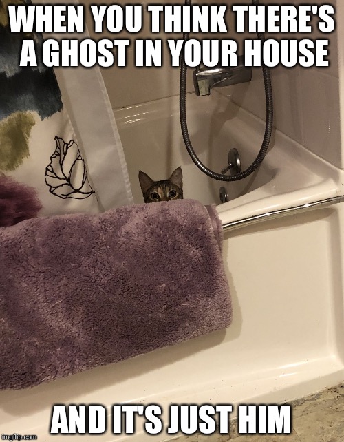 Watching | WHEN YOU THINK THERE'S A GHOST IN YOUR HOUSE; AND IT'S JUST HIM | image tagged in watching | made w/ Imgflip meme maker