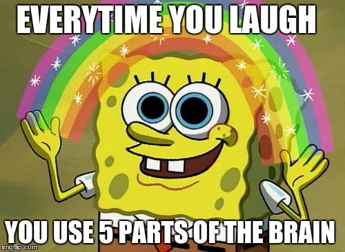 Imagination Spongebob | EVERYTIME YOU LAUGH; YOU USE 5 PARTS OF THE BRAIN | image tagged in memes,imagination spongebob | made w/ Imgflip meme maker