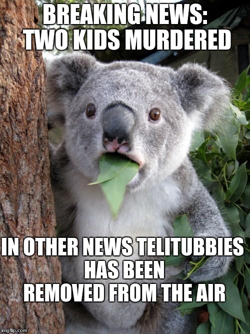 Surprised Koala Meme | BREAKING NEWS: TWO KIDS MURDERED; IN OTHER NEWS TELITUBBIES HAS BEEN REMOVED FROM THE AIR | image tagged in memes,surprised koala | made w/ Imgflip meme maker