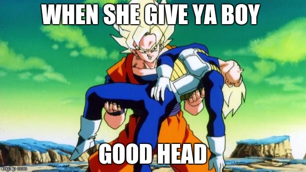 Goku holding vegeta | WHEN SHE GIVE YA BOY; GOOD HEAD | image tagged in goku holding vegeta | made w/ Imgflip meme maker
