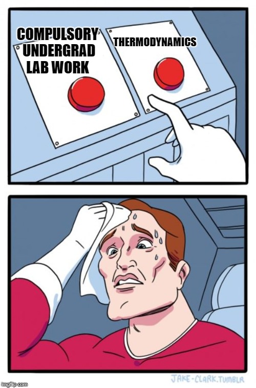 Two Buttons Meme | THERMODYNAMICS; COMPULSORY UNDERGRAD LAB WORK | image tagged in memes,two buttons | made w/ Imgflip meme maker